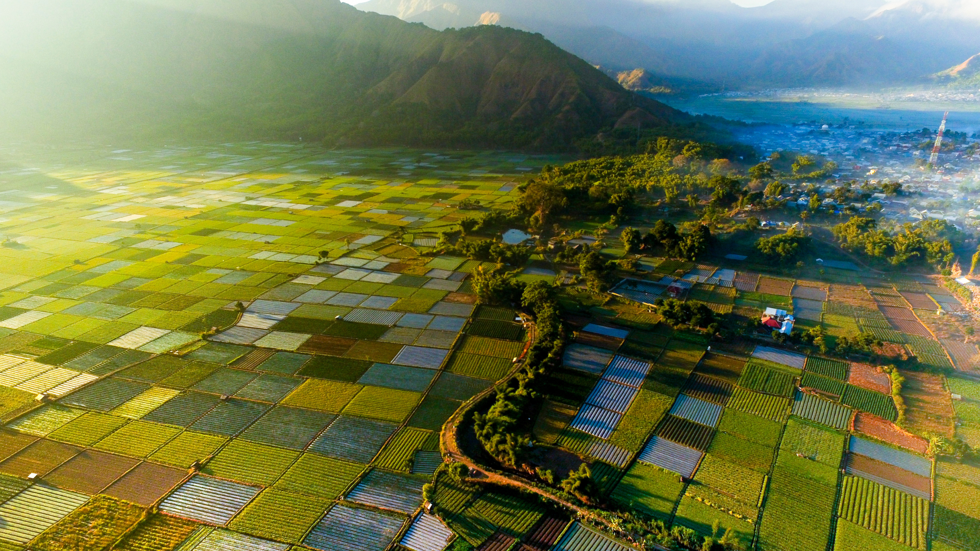 Compliance Lessons from Business and Property Disputes in Lombok: 9 Critical Risks Every Investor Should Know
