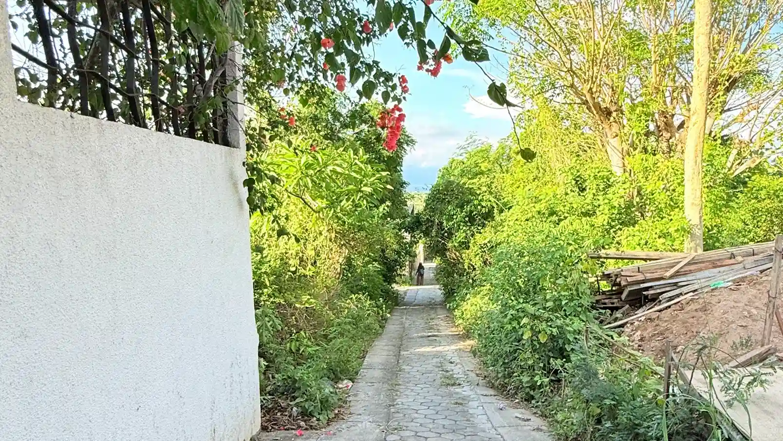 Hidden Lombok Land Access Issues: 9 Legal Roadblocks Every Bali & Lombok Developer Must Know