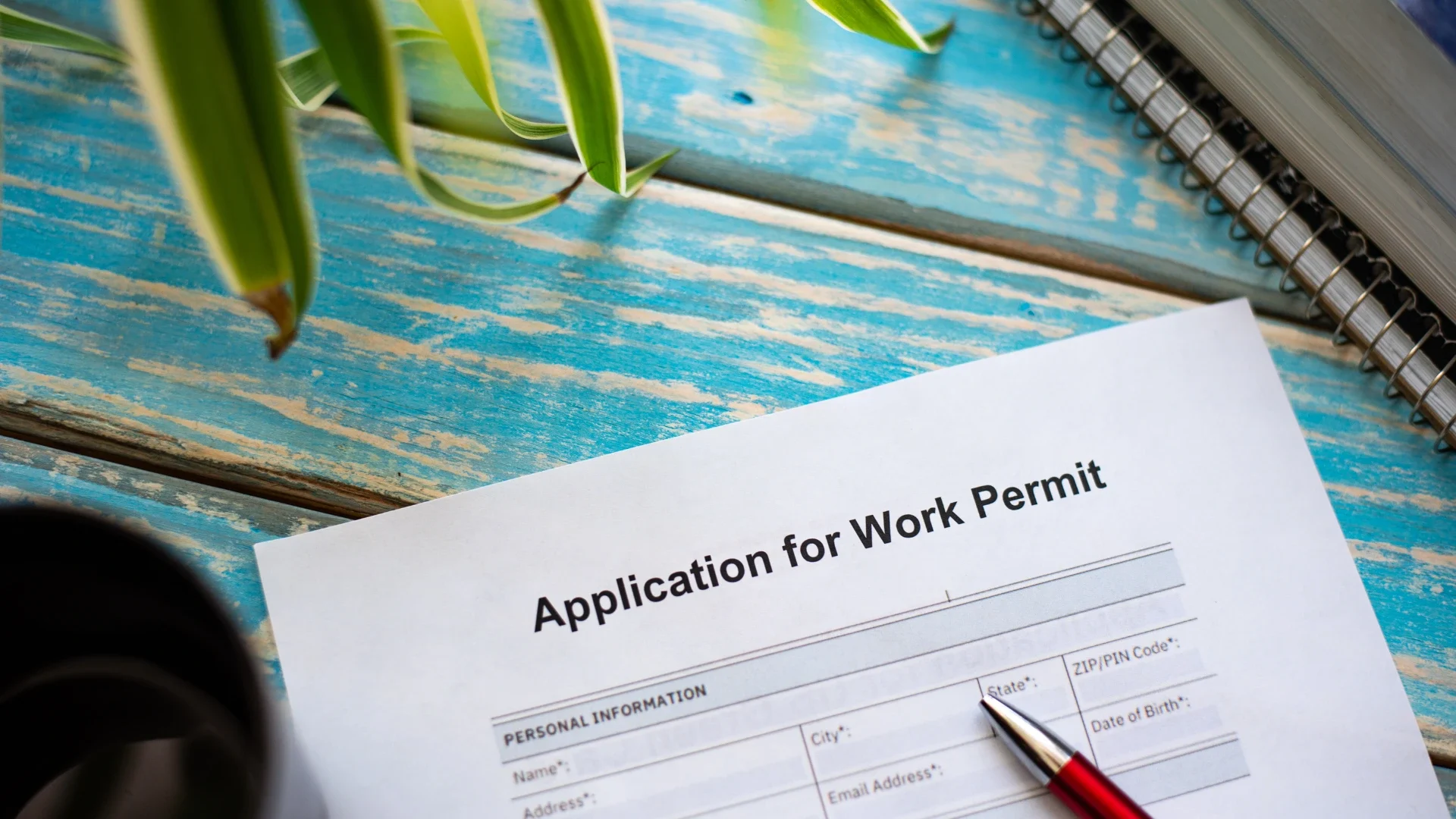 KITAS Holders in Lombok and Bali: 12 Dangerous Mistakes That Can Lead to Fines or Deportation