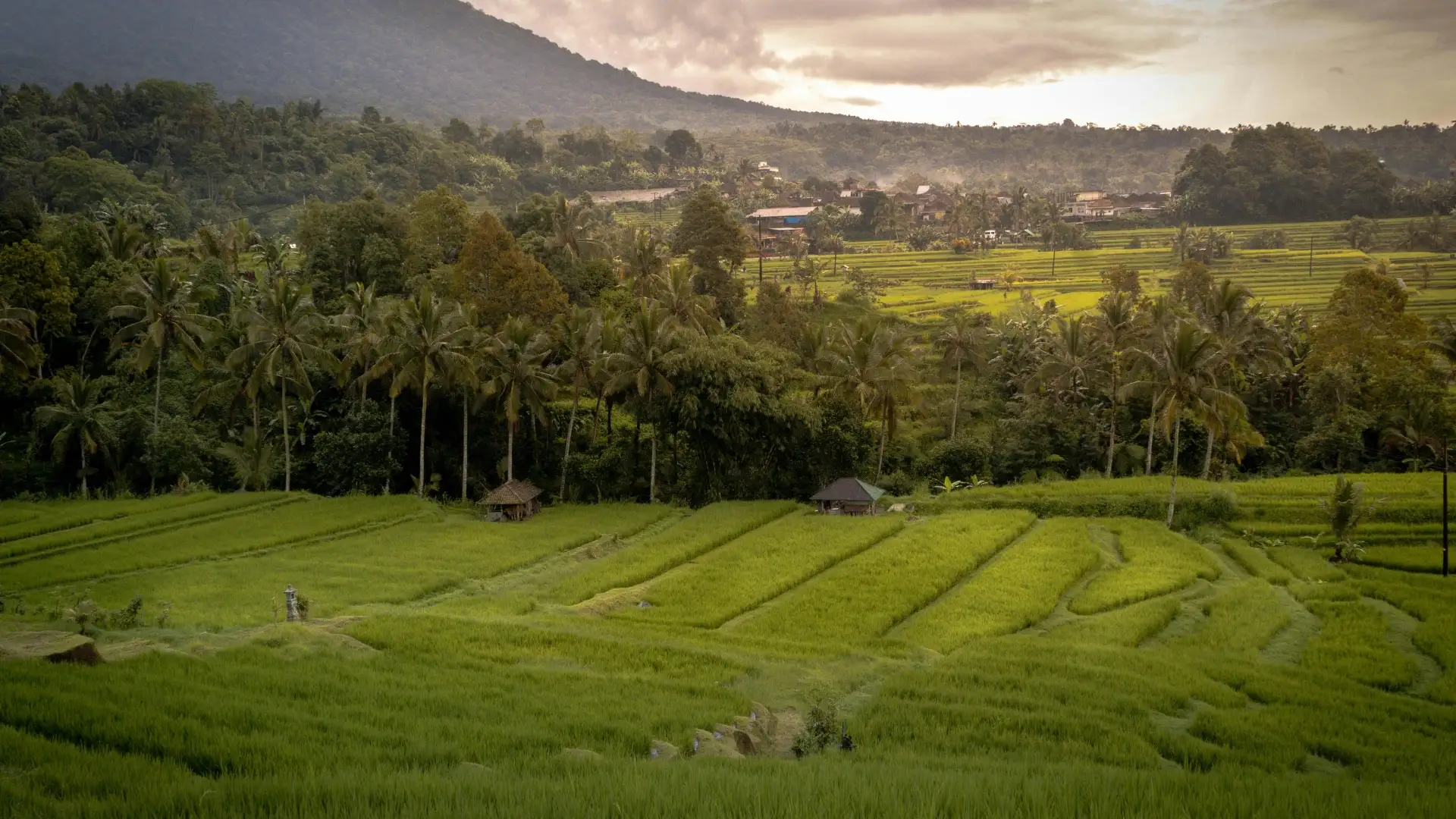 Most Common Land Disputes in Bali and Lombok Foreign Investors Face, And How to Avoid Them in 2026