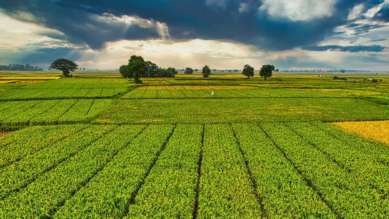 Perda Bali No. 4/2026 : Criminal Risks of Converting Agricultural Land into Tourism Villas