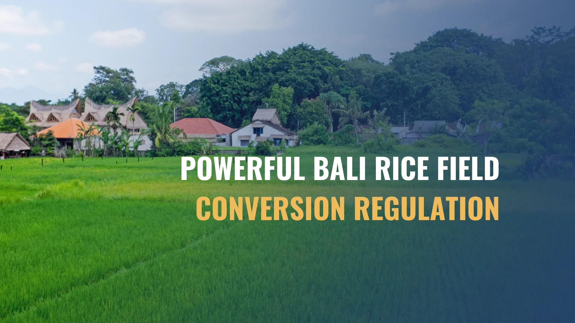 Powerful Bali Rice Field Conversion Regulation Changes Every Investor Must Know in 2026