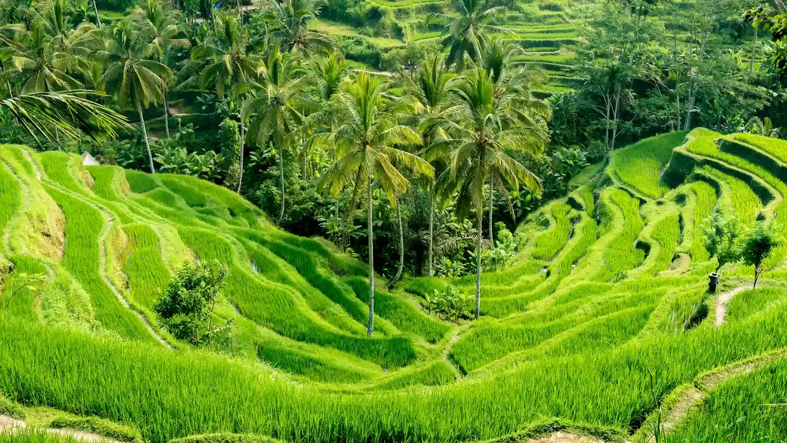 Legal Due Diligence in Bali and Lombok Guides Before Investing in 2026
